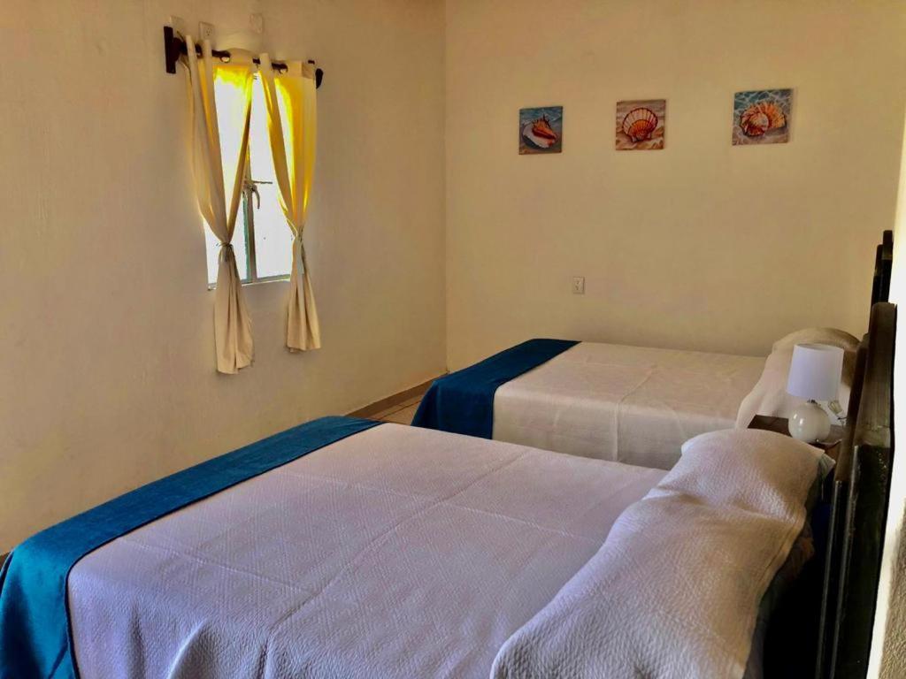 La Pucca Hotel Boutique Resort 페니타 데 할템바 외부 사진