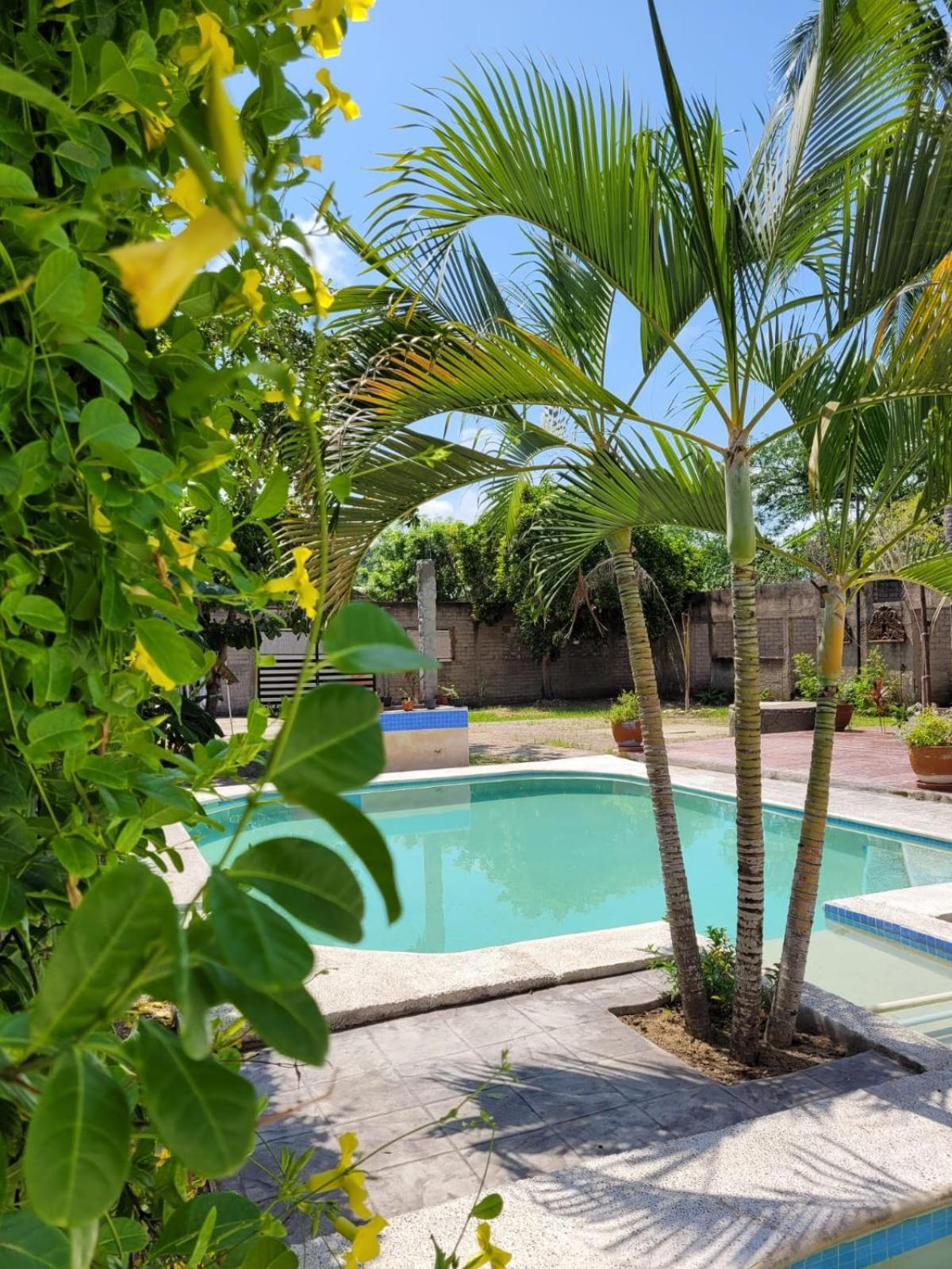 La Pucca Hotel Boutique Resort 페니타 데 할템바 외부 사진