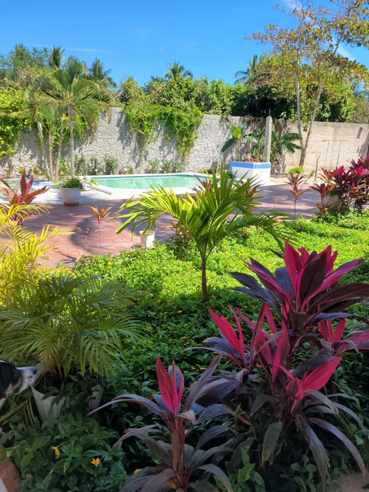 La Pucca Hotel Boutique Resort 페니타 데 할템바 외부 사진