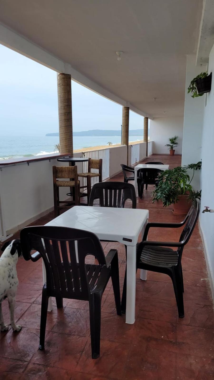 La Pucca Hotel Boutique Resort 페니타 데 할템바 외부 사진